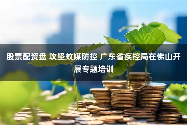 股票配资盘 攻坚蚊媒防控 广东省疾控局在佛山开展专题培训